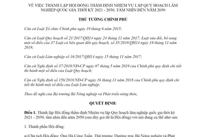 Quyết định 1611/QĐ-TTg 2019 thành lập Hội đồng thẩm định lập Quy hoạch lâm nghiệp quốc gia