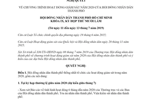 Nghị quyết 29/NQ-HĐND 2019 chương trình hoạt động giám sát Hội đồng nhân dân Hồ Chí Minh