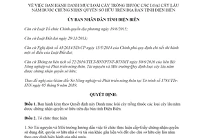 Quyết định 839/QĐ-UBND 2019 cây trồng thuộc cây lâu năm được chứng nhận sở hữu Điện Biên