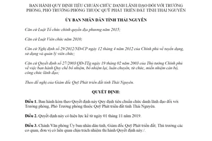 Quyết định 27/2019/QĐ-UBND tiêu chuẩn chức danh lãnh đạo thuộc Quỹ Phát triển đất Thái Nguyên