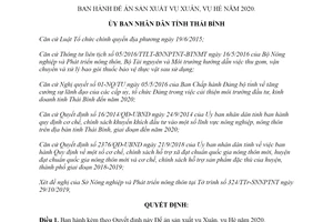 Quyết định 3087/QĐ-UBND 2019 Đề án sản xuất vụ Xuân vụ Hè tỉnh Thái Bình