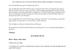 Thông tư 81/2019/TT-BTC quản lý rủi ro trong hoạt động nghiệp vụ hải quan