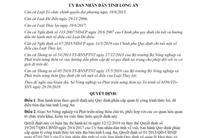 Quyết định 51/2019/QĐ-UBND quy định phân cấp quản lý công trình thủy lợi đê điều tỉnh Long An