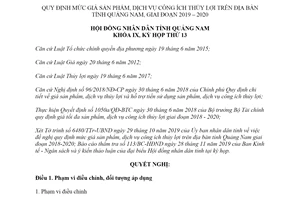 Nghị quyết 13/2019/NQ-HĐND mức giá sản phẩm dịch vụ công ích thủy lợi Quảng Nam