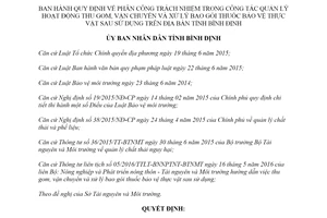 Quyết định 54/2019/QĐ-UBND thu gom xử lý bao gói thuốc bảo vệ thực vật sau sử dụng Bình Định