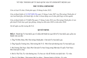 Quyết định 1745/QĐ-TTg 2019 thành lập Ủy ban Quốc gia về chấm dứt bệnh lao