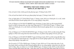 Nghị quyết 24/2019/NQ-HĐND khuyến khích doanh nghiệp đầu tư vào nông nghiệp nông thôn Cà Mau