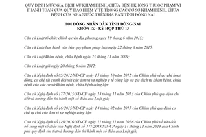 Nghị quyết 185/2019/NQ-HĐND mức giá dịch vụ khám bệnh không thuộc Quỹ bảo hiểm y tế Đồng Nai