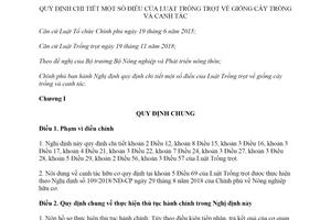 Decree 94/2019/ND-CP guidelines Law on Crop Production regarding plant varieties and crop cultivation