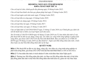 Nghị quyết 50/2019/NQ-HĐND sửa chữa công trình nông nghiệp và phát triển nông thôn Bình Định