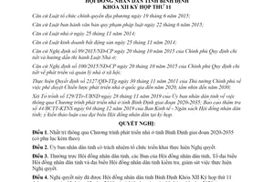 Nghị quyết 45/2019/NQ-HĐND Chương trình phát triển nhà ở tỉnh Bình Định