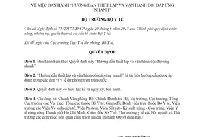 Quyết định 5894/QĐ-BYT 2019 Hướng dẫn thiết lập và vận hành đội đáp ứng nhanh