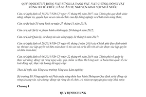 Thông tư 29/2019/TT-BNNPTNT xử lý động vật rừng vật chứng động vật rừng do tổ chức giao nộp