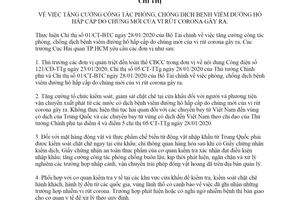 Directive 199/CT-HQHCM 2020 intensification of the prevention and fight against the novel coronavirus