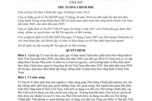 Quyết định 203/QĐ-TTg 2020 thành lập Ủy ban chỉ đạo quốc gia thực hiện phát triển kinh tế biển