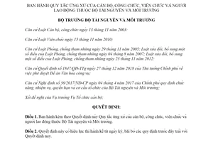 Quyết định 347/QĐ-BTNMT 2020 Quy tắc ứng xử của cán bộ công chức viên chức và người lao động