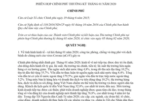 Nghị quyết 11/NQ-CP 2020 phiên họp Chính phủ thường kỳ