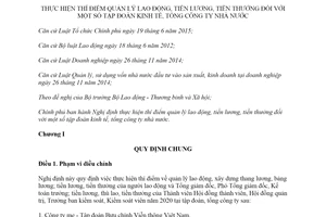 Nghị định 20/2020/NĐ-CP quản lý lao động tiền lương tiền thưởng đối với tập đoàn kinh tế