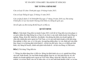 Quyết định 307/QĐ-TTg 2020 tổ chức Tổng điều tra kinh tế 2021