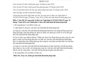 Nghị định 32/2020/NĐ-CP sửa đổi Nghị định 59/2012/NĐ-CP theo dõi tình hình thi hành pháp luật