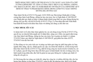 Kế hoạch 37/KH-UBND 2020 thực hiện Chỉ thị 03/CT-TTg và Nghị định 100/NĐ-CP Ninh Bình