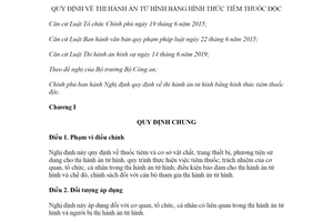 Nghị định 43/2020/NĐ-CP quy định thi hành án tử hình bằng hình thức tiêm thuốc độc