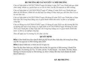 Quyết định 917/QĐ-BTNMT 2020 Kế hoạch thực hiện dân chủ