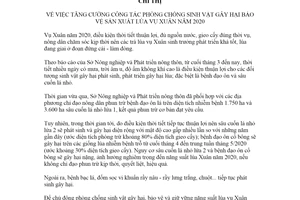 Chỉ thị 14/CT-UBND 2020 phòng chống sinh vật gây hại bảo vệ sản xuất lúa vụ Xuân Hải Phòng