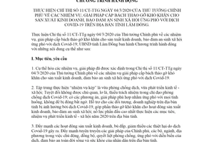 Chương trình hành động 4102/CTr-UBND 2020 thực hiện Chỉ thị 11/CT-TTg tỉnh Lâm Đồng