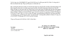 Công văn 2781/TCHQ-GSQL 2020 vướng mắc tờ khai vận chuyển độc lập