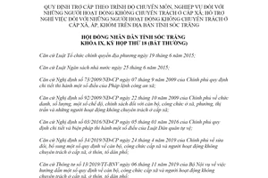 Nghị quyết 04/2020/NQ-HĐND trợ cấp theo trình độ người hoạt động không chuyên trách Sóc Trăng