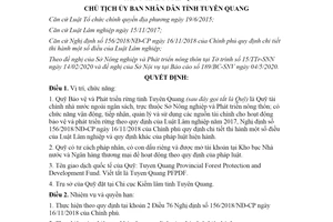 Quyết định 538/QĐ-UBND 2020 hoạt động của Quỹ Bảo vệ và Phát triển rừng tỉnh Tuyên Quang