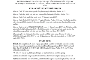 Quyết định 23/2020/QĐ-UBND bổ sung Quyết định 38/2019/QĐ-UBND tỉnh Bình Định