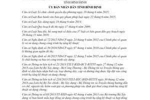 Quyết định 33/2020/QĐ-UBND phân cấp công trình hạ tầng kỹ thuật đô thị khu chức năng Bình Định