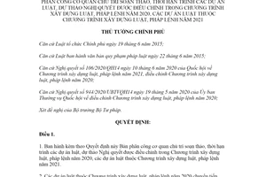 Quyết định 999/QĐ-TTg 2020 phân công cơ quan soạn thảo trình dự án Luật dự thảo Nghị quyết