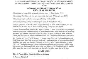 Nghị quyết 07/2020/NQ-HĐND Hỗ trợ nạn nhân theo Nghị định 09/2013/NĐ-CP tỉnh Đắk Nông