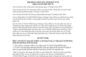 Nghị quyết 35/2020/NQ-HĐND sửa đổi bổ sung bãi bỏ nội dung trong Nghị quyết Kon Tum