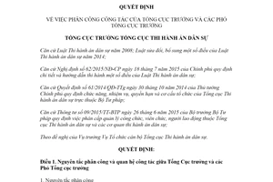 Quyết định 573/QĐ-TCTHADS 2020 phân công công tác Tổng Cục trưởng thi hành án