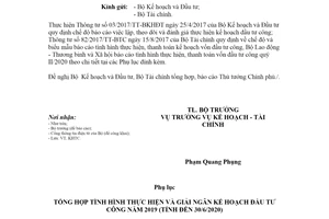 Công văn 2675/LĐTBXH-KHTC 2020 báo cáo tình hình giải ngân vốn đầu tư công quý II