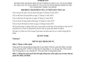 Nghị quyết hướng dẫn áp dụng Bộ luật Tố tụng hình sự về thủ tục giám đốc thẩm tái thẩm