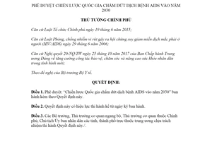 Quyết định 1246/QĐ-TTg 2020 phê duyệt Chiến lược Quốc gia chấm dứt dịch bệnh AIDS vào 2030