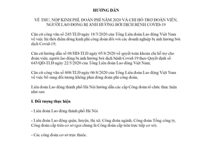 Hướng dẫn 13/HD-LĐLĐ 2020 thu nộp kinh phí đoàn phí chi hỗ trợ đoàn viên bị ảnh hưởng bởi Covid-19