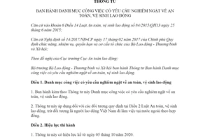 Thông tư 06/2020/TT-BLĐTBXH Danh mục công việc có yêu cầu nghiêm ngặt về an toàn vệ sinh lao động