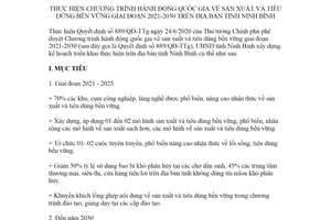 Kế hoạch 87/KH-UBND 2020 thực hiện Chương trình hành động quốc gia sản xuất tiêu dùng Ninh Bình