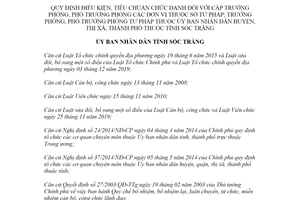 Quyết định 28/2020/QĐ-UBND tiêu chuẩn chức danh đối với cấp Trưởng phòng Sở Tư pháp Sóc Trăng
