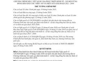 Quyết định 1409/QĐ-TTg 2020 kế hoạch triển khai Nghị quyết 120/2020/QH14