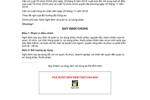 Nghị định 137/2020/NĐ-CP quản lý sử dụng pháo