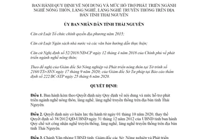 Quyết định 19/2020/QĐ-UBND mức hỗ trợ phát triển ngành nghề nông thôn tỉnh Thái Nguyên