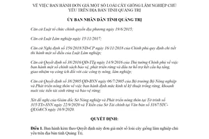 Quyết định 2814/QĐ-UBND 2020 đơn giá một số loài cây giống lâm nghiệp chủ yếu Quảng Trị