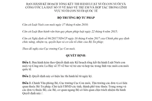 Quyết định 2103/QĐ-BTP 2020 thi hành Luật Nuôi con nuôi và Công ước La Hay 33 về bảo vệ trẻ em